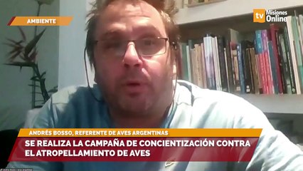 Se realiza la campaña de concientización contra el atropellamiento de aves