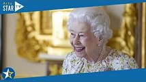 Elizabeth II  ce bel animal offert par Emmanuel Macron à la reine pour son Jubilé