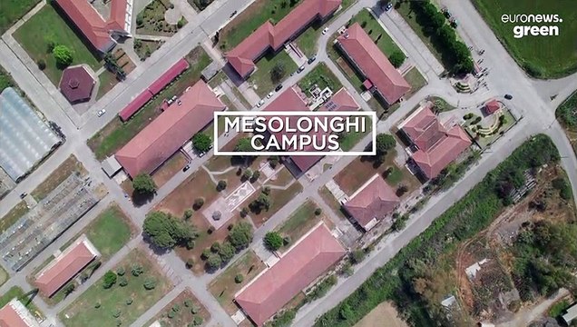 «За инвазивными видами нужен глаз да глаз»: чем опасно переселение «чужаков» в Средиземное море