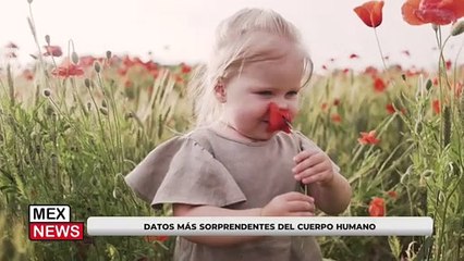 DATOS MÁS SORPRENDENTES DEL CUERPO HUMANO