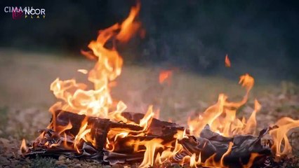 مسلسل الذئب الوحيد الحلقة 39 مدبلجة 🌙