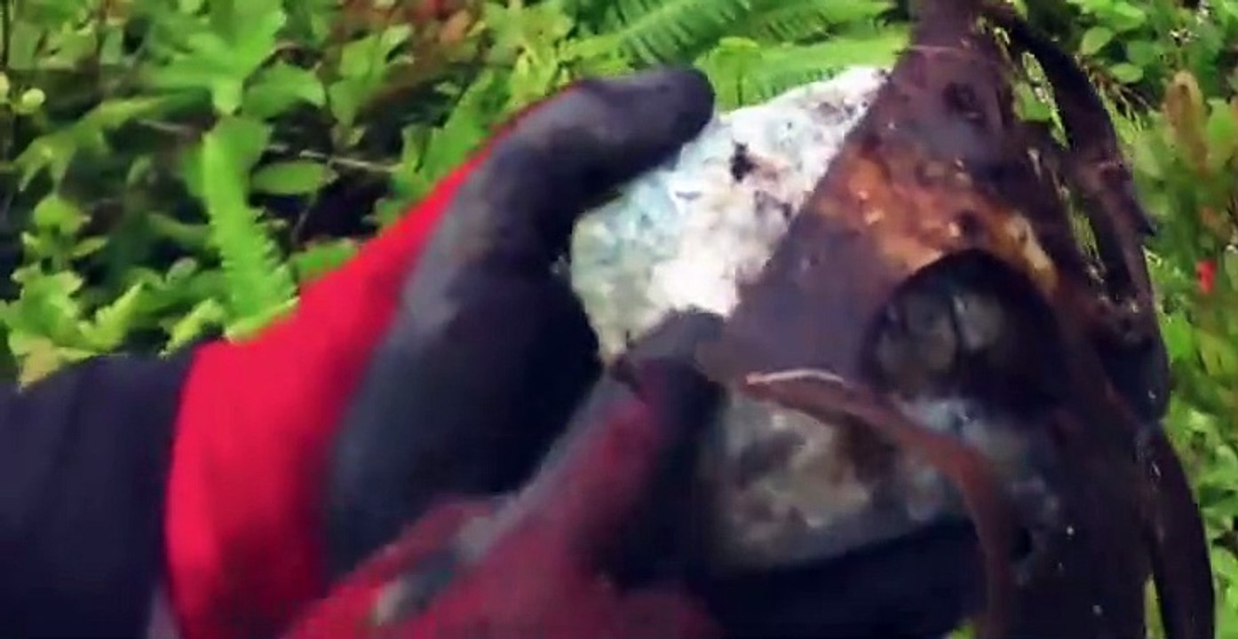 Digging for Britain S07 E01