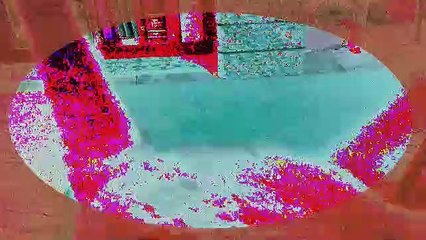 Taking my medicine l Playing with my cat Job l PowerDirector