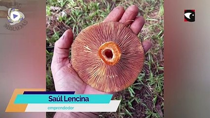 3 Miradas: Saúl Lencina, Poytava