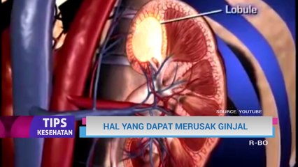 TIPS KESEHATAN HAL YANG MERUSAK GINJAL