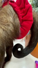 many ask about my nails! Mom files them all the time we don't cut!