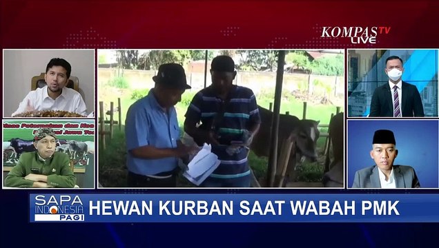 Ketua MUI: Hewan PMK Gejala Klinis Ringan Sah Dijadikan Hewan Kurban
