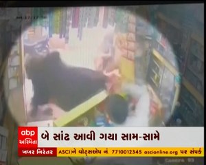 ગીર સોમનાથમાં રખડતા ઢોરનો આતંક મેડિકલની દુકાનમાં આવી ગયા ઢોર