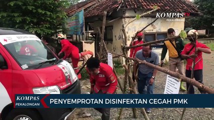 Penyemprotan Disinfektan Cegah Penularan PMK