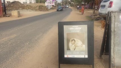 Senegal'de koyunların kralı "ladoum" temalı fotoğraf sergisi açıldı