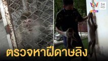 สวนสัตว์จับลิงตรวจเลือดหามาลาเรีย-ฝีดาษลิง | ข่าวเที่ยงอมรินทร์ | 2 มิ.ย.65