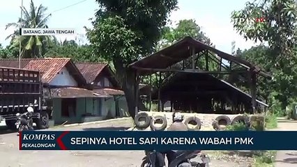 Imbas dari Wabah PMK, Hotel Sapi Sepi