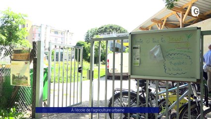 Reportage - A l'école de l'agriculture urbaine