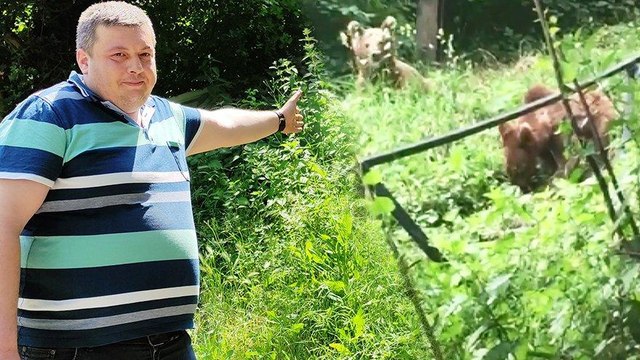 Ayılarla arkadaş oldu her gün ziyaretine geliyorlar