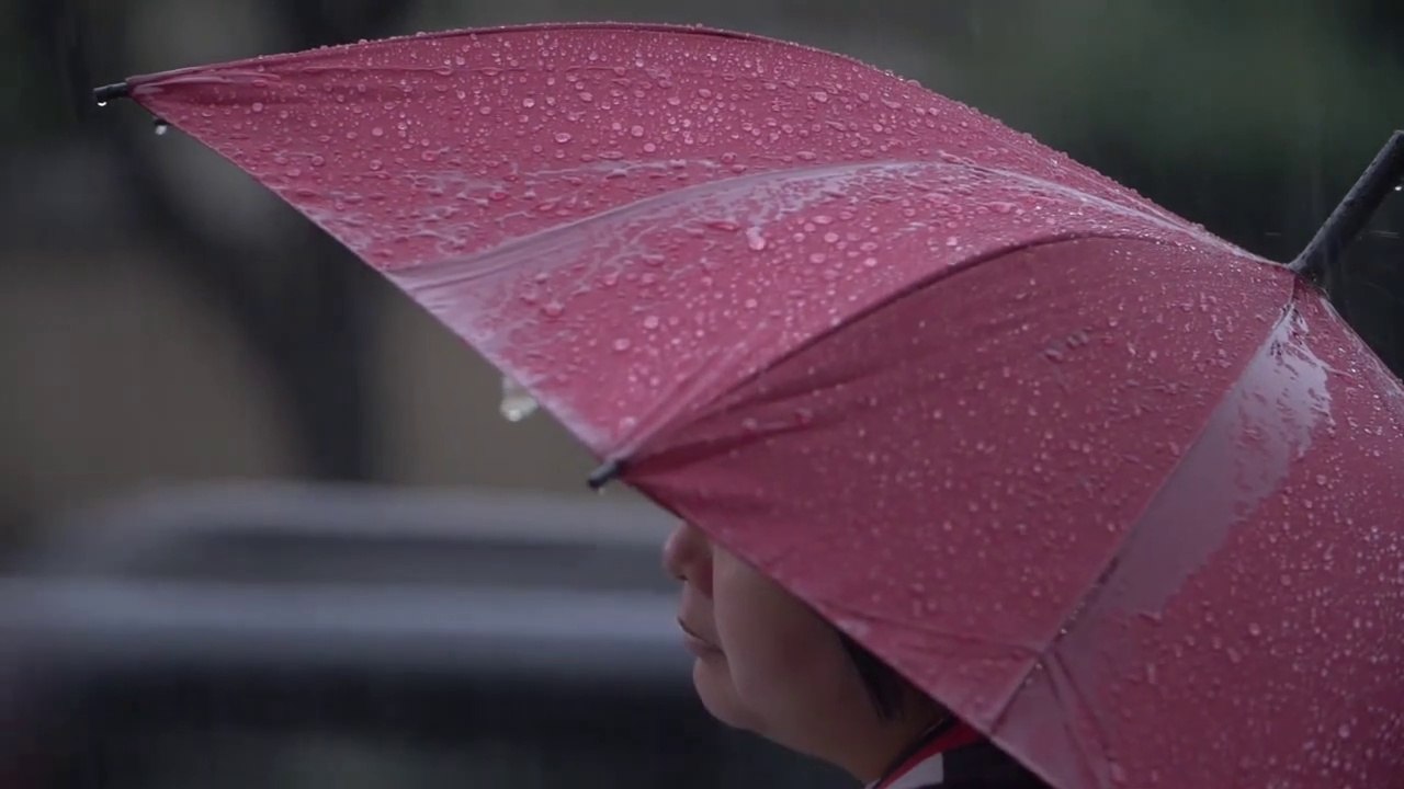 [4K] Taipe City #8 _ Stock Footage #100 _ Nature _ Drone _ Mountains _ Rice _ No Copyright