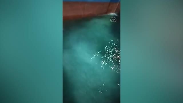 Marmara Denizi'ni kirleten gemiye 19 milyon lira ceza kesildi