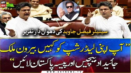 Senator Faisal Javed's fiery speech in senate session