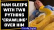 Man takes nap with two pythons crawling over him, video goes viral | OneIndia News #Offbeat