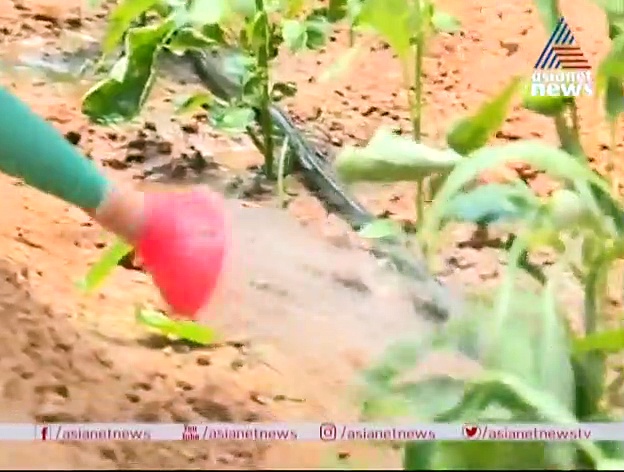 കൊറോണക്കാലത്തെ കേരളത്തെ വാഴ്ത്തി അമേരിക്കന്‍ ദമ്പതിമാര്‍