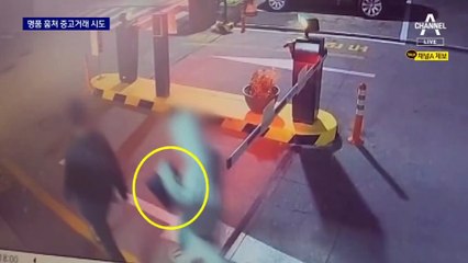 수천만 원 차량털이 후 중고거래 시도…꼬리 밟힌 10대들