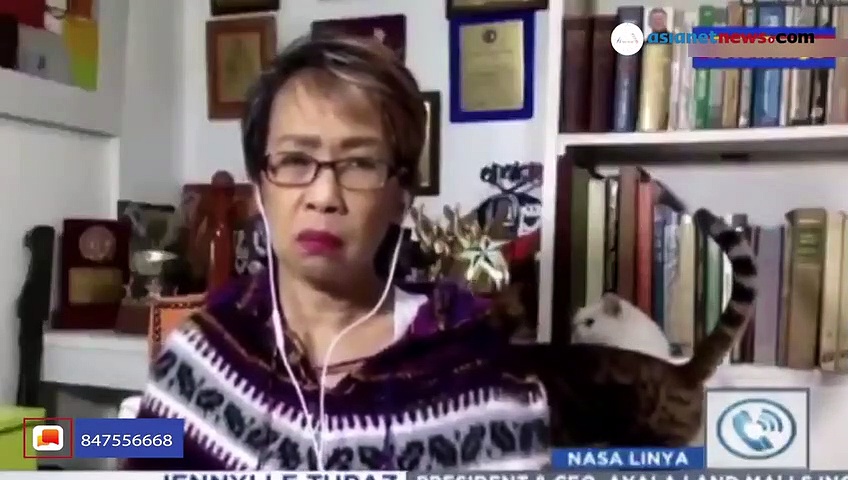 വർക്ക് അറ്റ് ഹോമിനിടയിൽ  പൂച്ചക്കുഞ്ഞുങ്ങളുടെ കുസൃതി