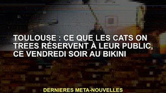 Toulouse : Ce que Les Chats dans les Arbres réservent à leur public, en bikini ce vendredi soir