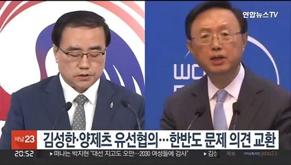 김성한·양제츠 유선협의…한반도 문제 의견 교환