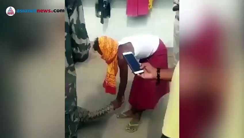 ഗ്രാമവാസികൾ പിടികൂട്ടിയ ഉറുമ്പുതീനിയെ രക്ഷിച്ച് വനംവകുപ്പ്; ദൃശ്യങ്ങൾ പുറത്ത്