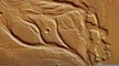 NASA refuse to photograph Mars Canals? : సోషల్ మీడియాలో చక్కర్లు కొడుతున్న వార్త | ABP Desam
