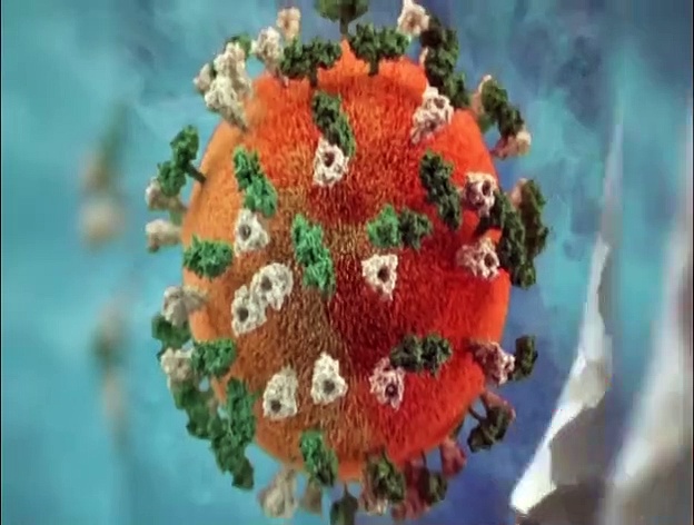 ഹൈഡ്രോക്‌സി ക്ലോറോക്വിന്‍ കൊവിഡിനുള്ള മാന്ത്രികമരുന്നോ?