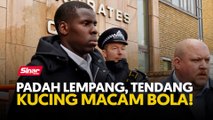 Padah lempang, tendang kucing macam bola!