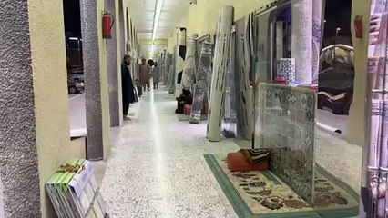 Carpet Visual Showcase 🏡