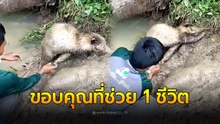 ไม่รู้ไปทำท่าไหน ถึงได้ติดอยู่แบบนั้น แถมน้องพยายามเอาชีวิตรอด