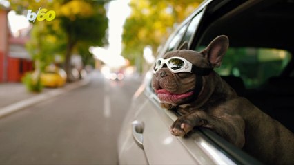 How to Have an Epic Road Trip