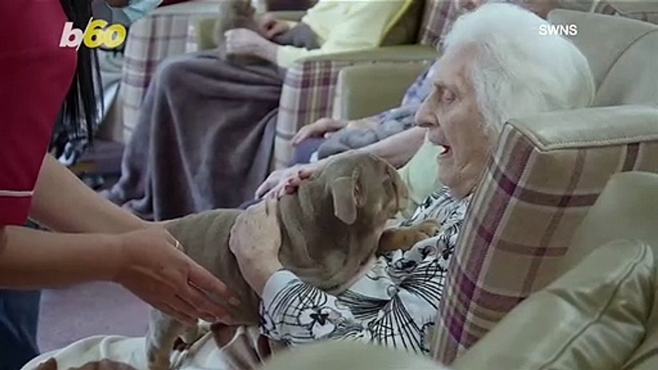 Care Home Residents Enjoy a Visit From These Precious Pups!