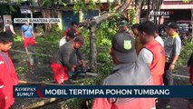Pohon Tumbang Timpa Mobil di Jalan Gatot Subroto Medan