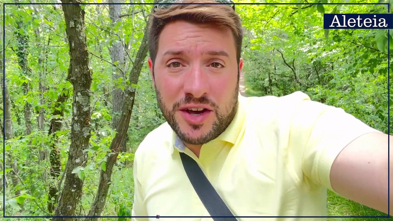 Martin Golob, vlog #89