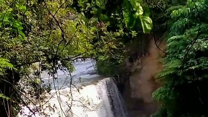 Air terjun lokal. East java