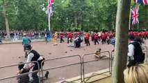 Animal rights activists disrupt Trooping the Colour parade