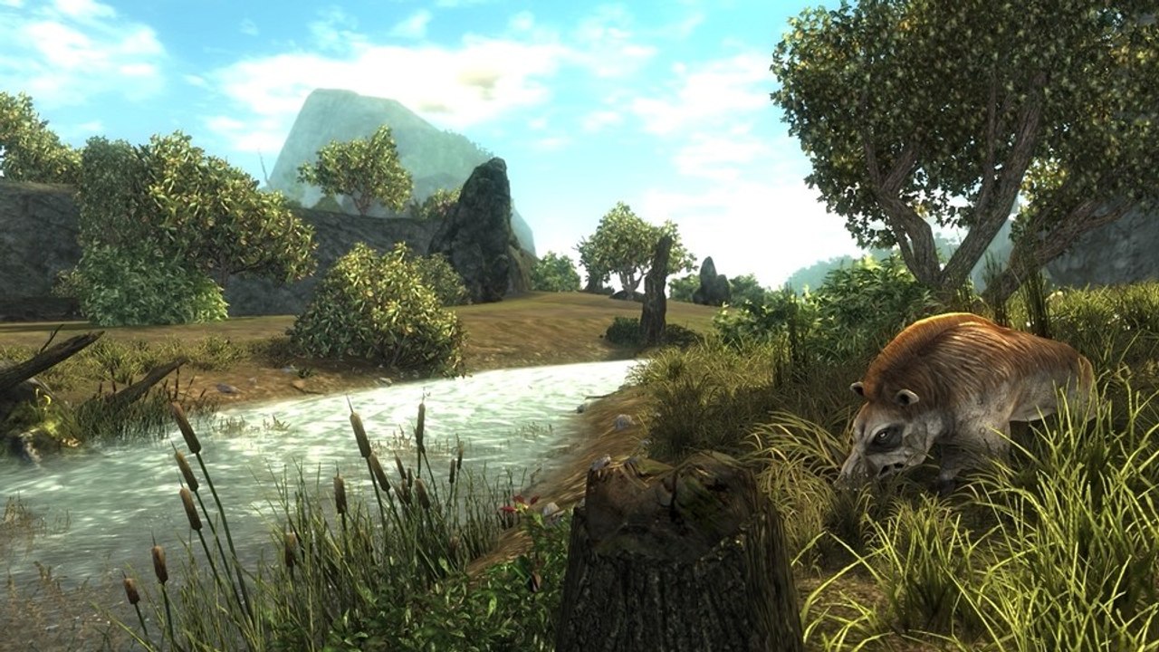 Risen - Walktrough: Umland