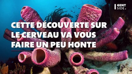 Cette découverte peu glorieuse sur le cerveau humain va vous faire un peu honte