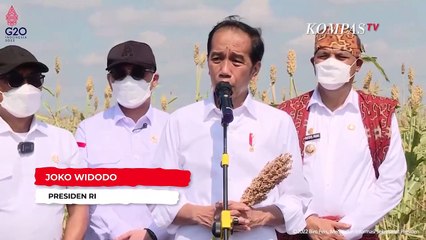 [TOP3NEWS] Ganjar Jawab Kritik Elit PDIP, Jokowi Tinjau Sorgum, Interpol Yellow Notice Eril