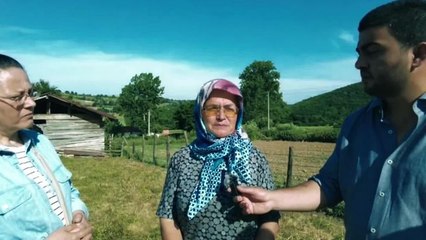 Kandıra Çiftçisi: "Çocuklarımız Yarı Aç Yarı Tok Şehirde Çalışıyorlar. Burada Kendi Toprağında Kazansalardı Göç Etmezlerdi"