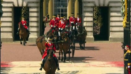 Having a mare: Horses behaving badly