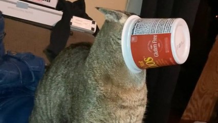 Epic Bicycle Bloopers   Fails Compilation