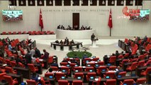 TBMM'de HDP ve MHP milletvekilleri arasında kadın cinayetleri ve istismar tartışması