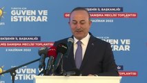 ESKİŞEHİR - Dışişleri Bakanı Çavuşoğlu: 