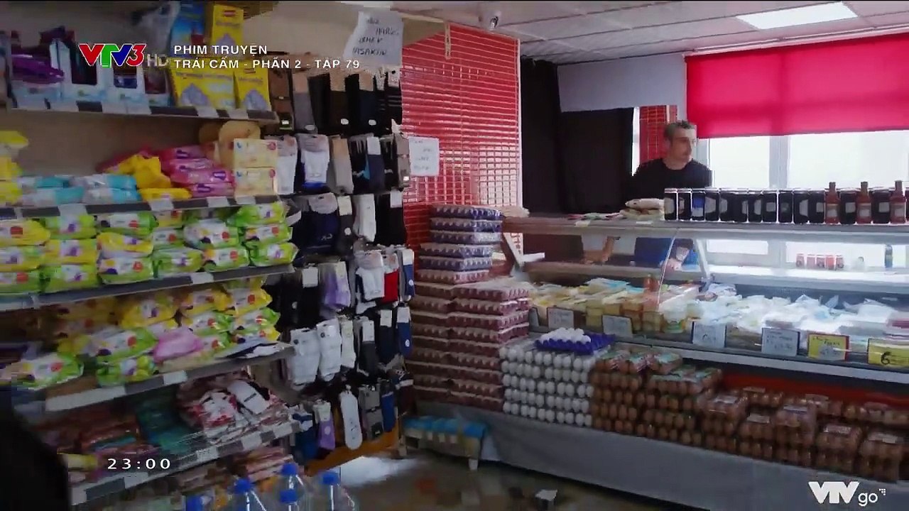 trái cấm phần 2 tập 79 - VTV3 thuyết minh - phim tho nhi ky - xem phim trai cam p2 tap 80