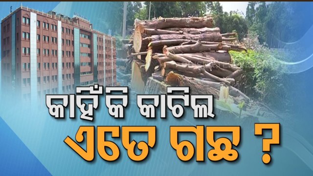 Orissa HC seeks affidavit from govt on felling of trees for MLA quarters