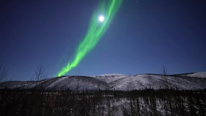 Auroras Dancing Under a Full Moon